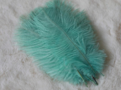 Перья, Мятный, 15-20 см, 10 шт.